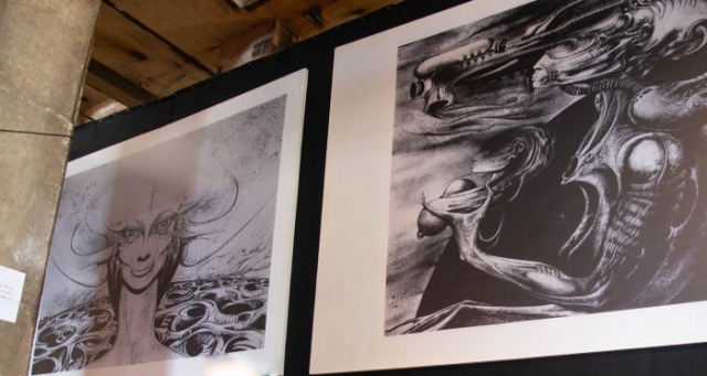 GALLERY side by EDU CAÑAS OMBRA 2025